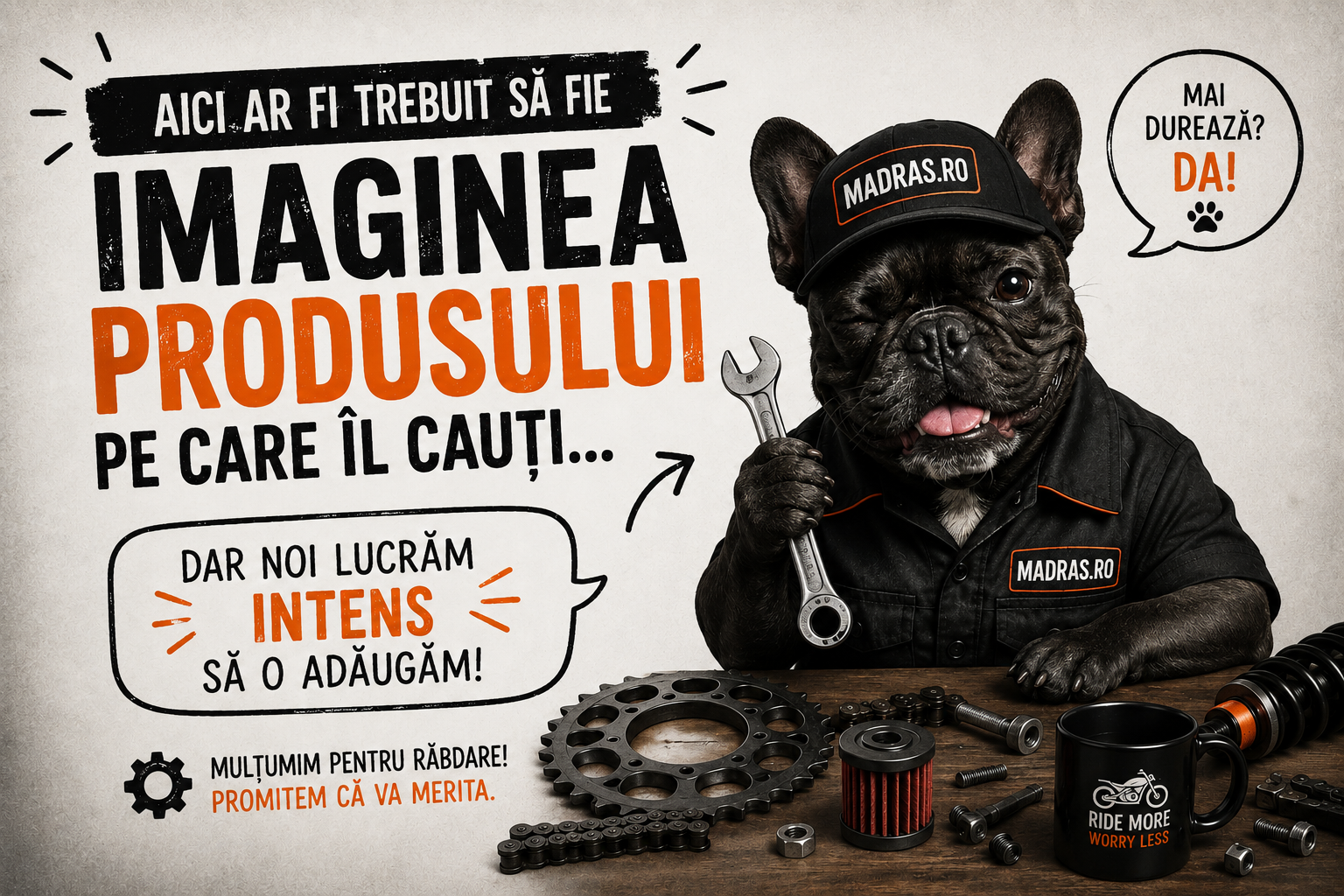 DISCURI LIGIER SPATE