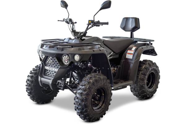 Linhai M210 EFI Omologare T3b